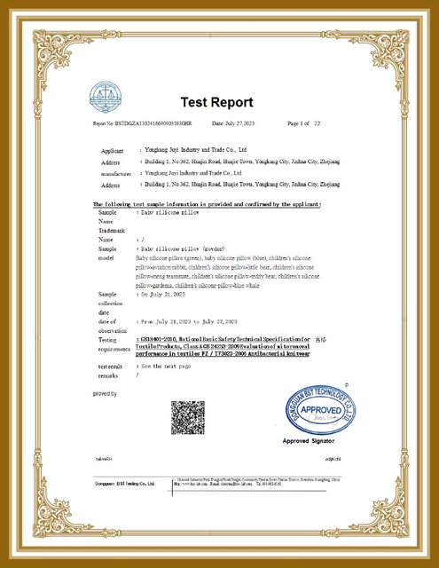 Baby Silicone Pillow Test Report