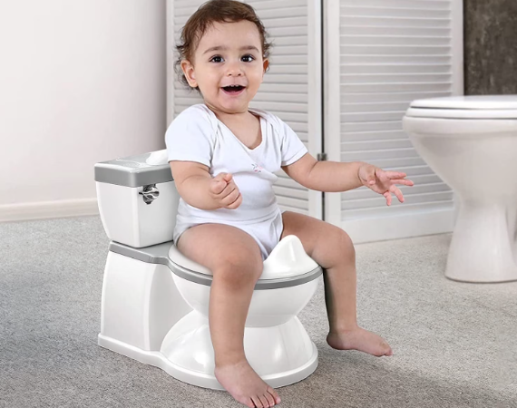potty training seat